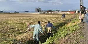 グループ各社周辺の清掃活動を行いました